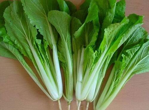 蔬菜品種：小白菜