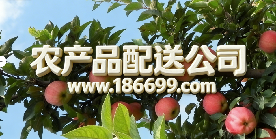 全球蘋果種植面積和產(chǎn)量最多的國家是哪里？