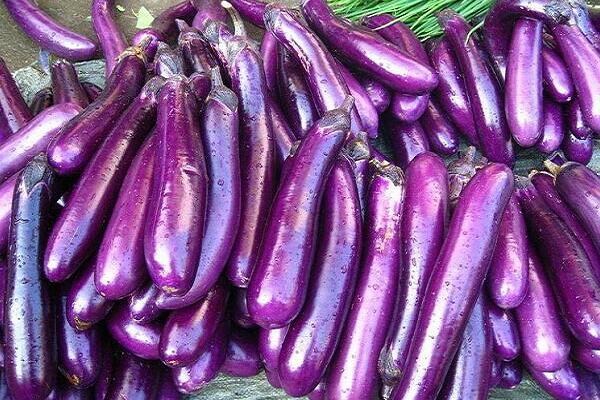 1760176486.jpg tupian_qiezi4.jpg