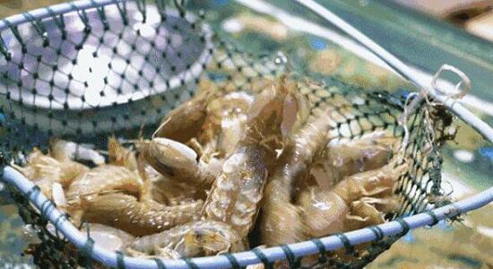 1760257290.jpg tupian_lainiaoxia1.jpg