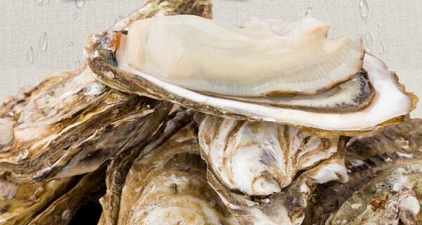 鮮活水產(chǎn)品“牡蠣”配送后的常見(jiàn)問(wèn)題