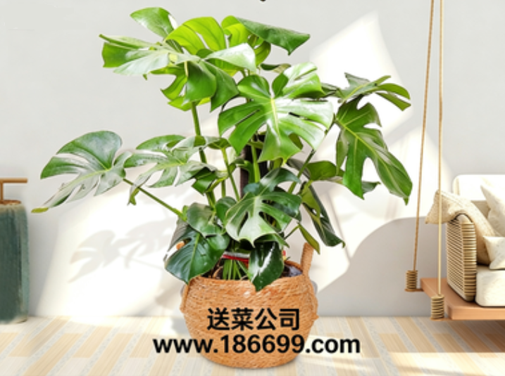 1765373966.png 微信圖片_20251210210001_184_3.png