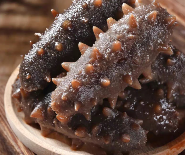 海參為什么是海底的軟黃金？